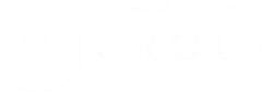 FEI Group